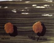 雷内 马格里特 : 语言的使用